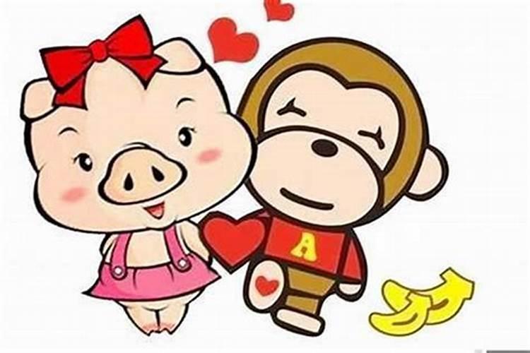 女猪男猴属相结婚的后果（属猴的和属猪的是什么婚姻?）