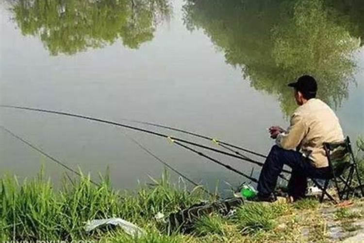 我梦见别人钓鱼