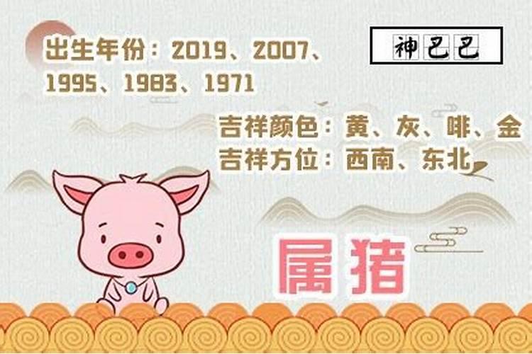 1983年属猪的财运方位 属猪怎样提升财运和运气