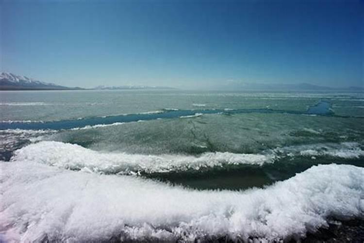 梦见大海结冰又融化了很多鱼
