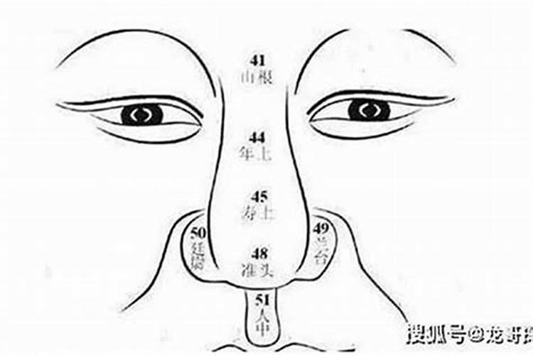 相学中鼻子代表什么