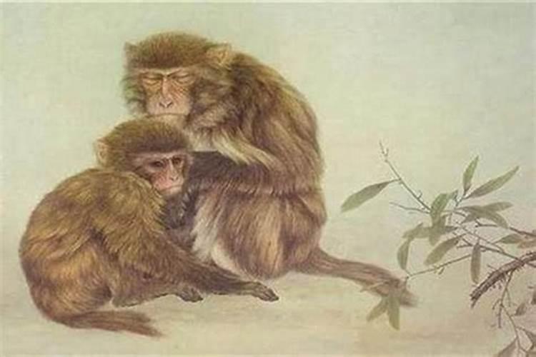 属猴1968中元节出生