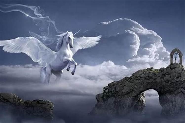 梦见马在天上飞奔预示什么呢