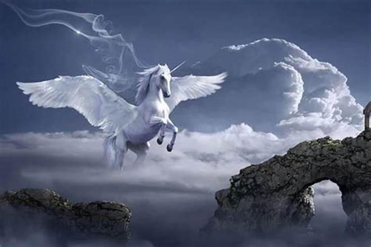 梦见马在天上飞是什么预兆