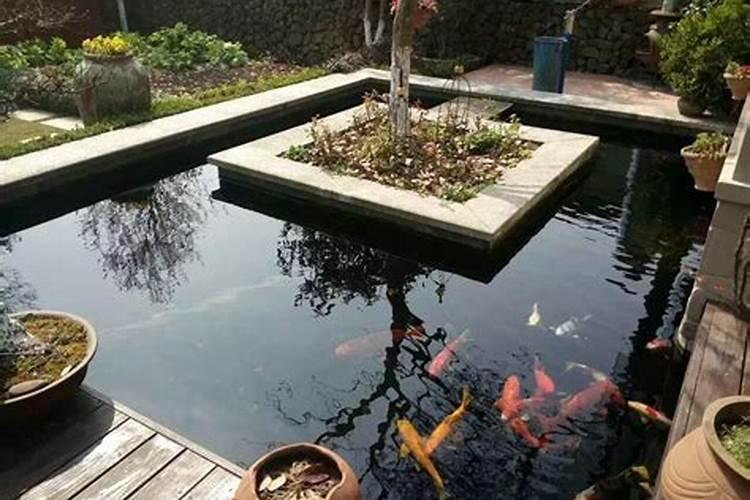 庭院鱼池深度多少合适