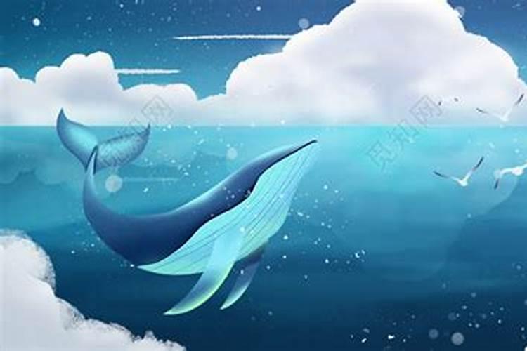 梦见大海很蓝很美还有鲸鱼