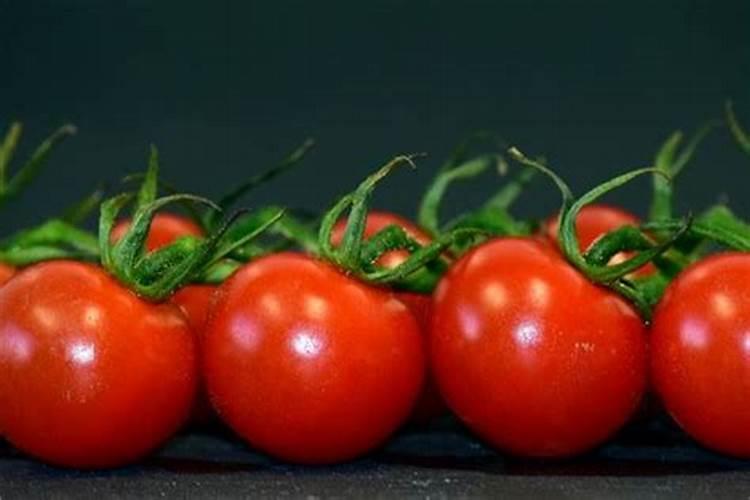 梦到吃西红柿是什么意思