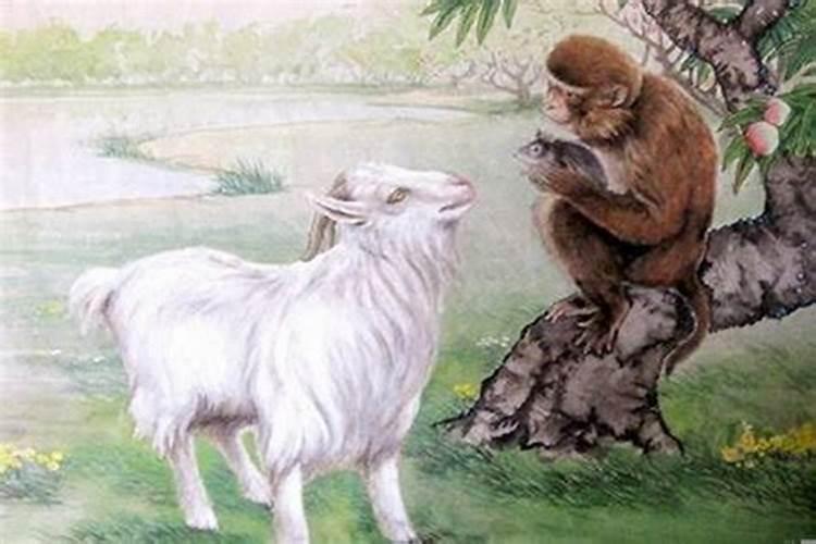 羊和猴的属相能婚配吗？