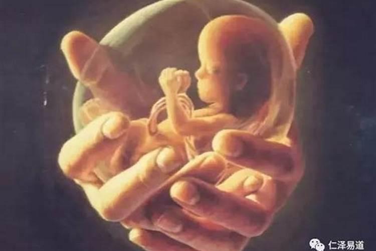 生命的轮回与因果：解析堕胎婴灵不找爸爸的原因