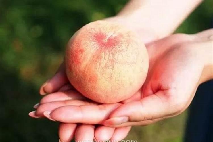孕妇梦见桃子但是没吃