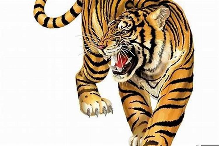 1974年出生的属虎是什么命？73年虎是什么命