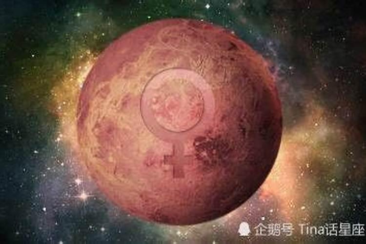 金星星座是什么意思