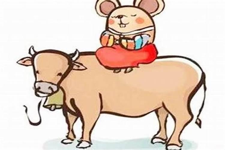 牛和鼠相配婚姻财运，属猪和属牛的八字合不合