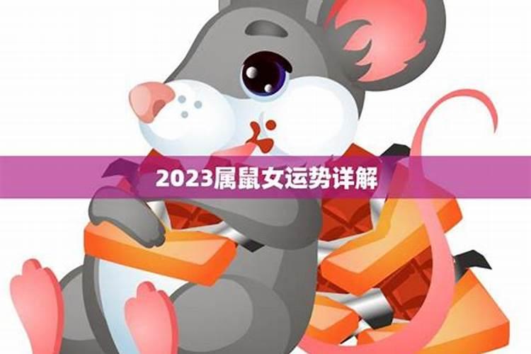2023年鼠女的感情运势，属鼠今年婚姻爱情运势