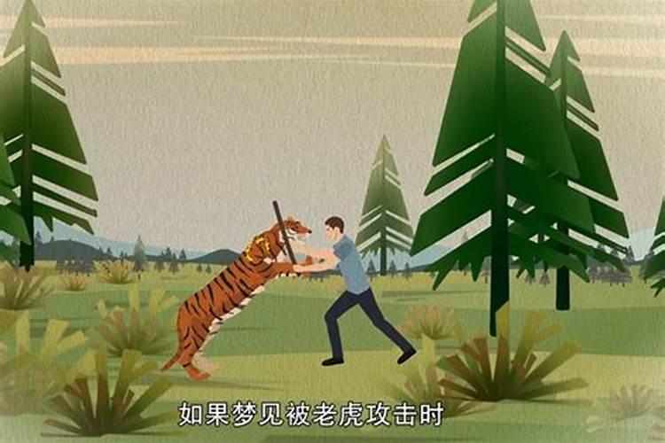 梦到老虎攻击自己是什么意思