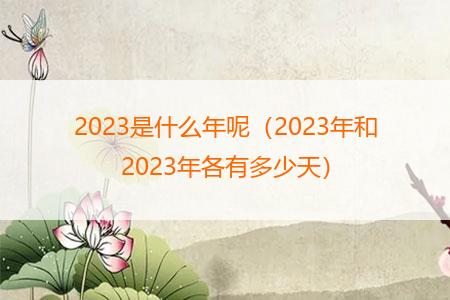2023是什么年呢（2023年和2023年各有多少天）