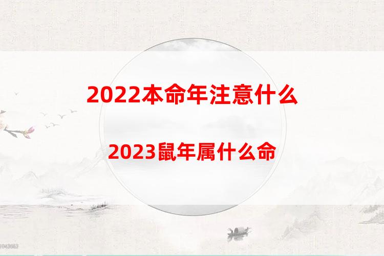 2023本命年注意什么？2023鼠年属什么命