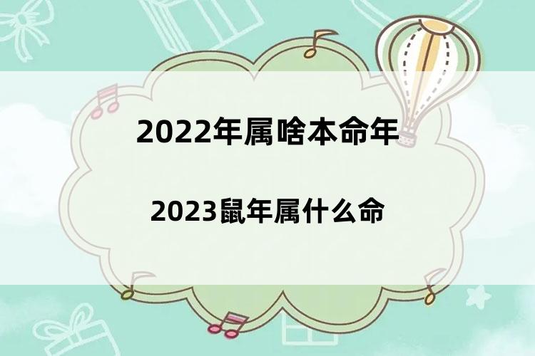 2023年属啥本命年？2023鼠年属什么命